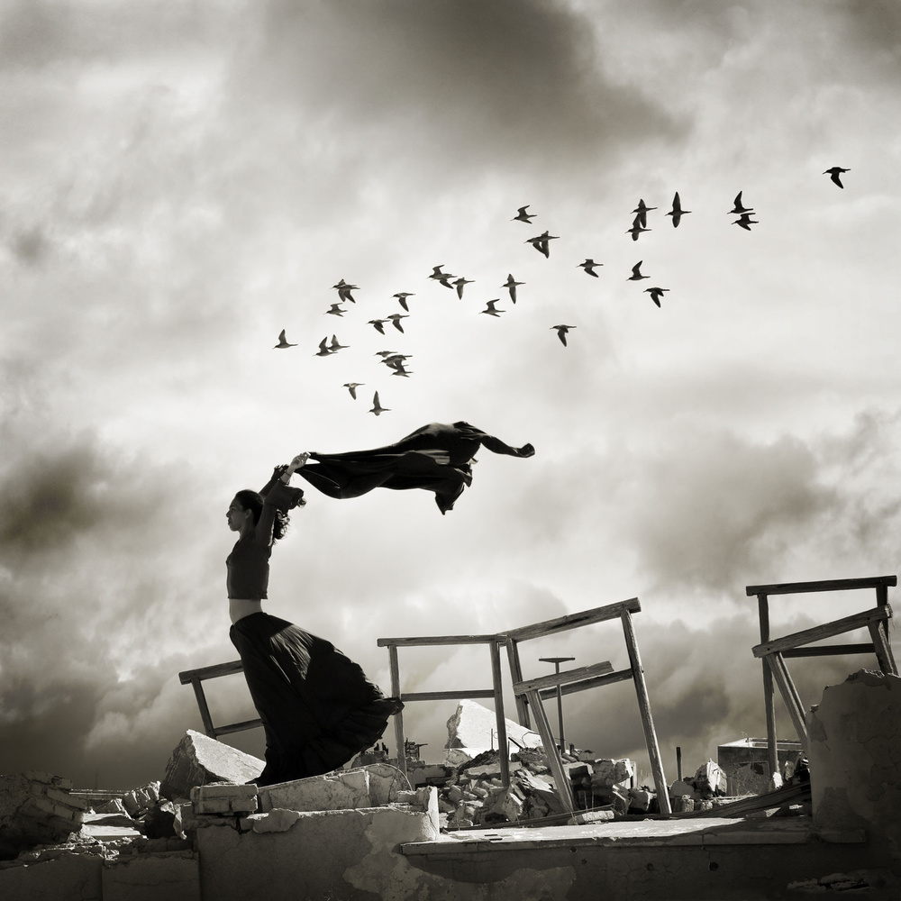 black wings von alejandra baci