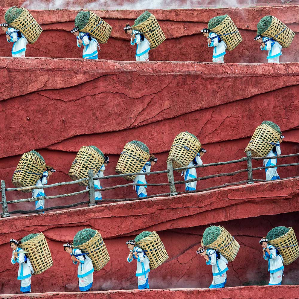 Die Ameisen von Aleksander Poniewierski