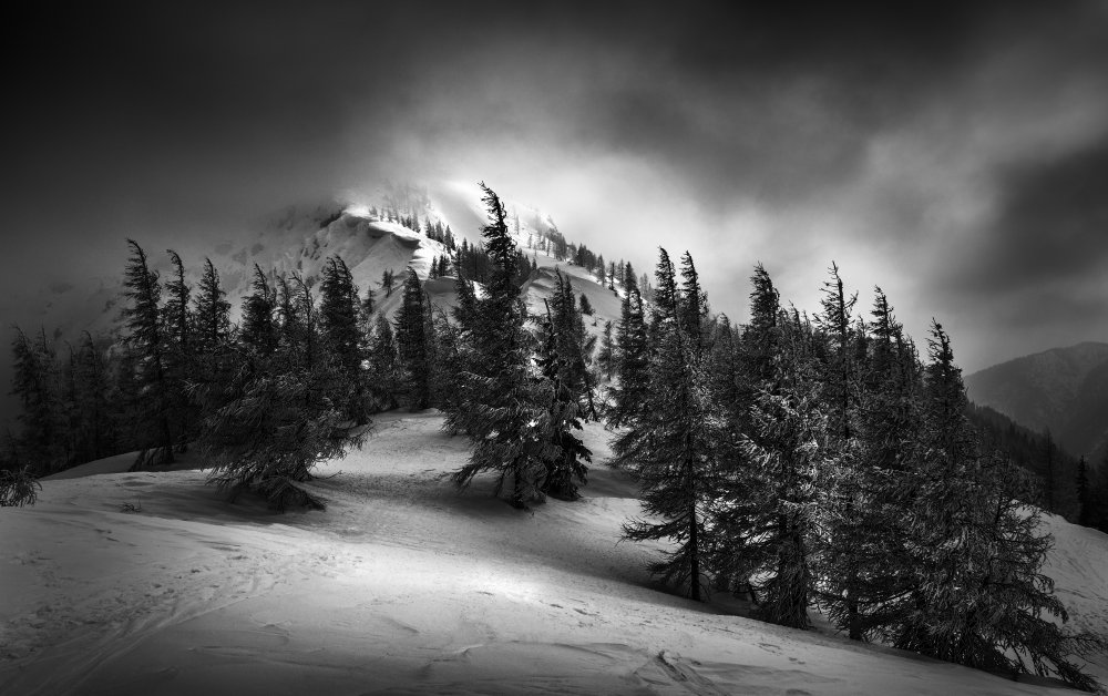 Windy &amp; cold von Aleš Klabus