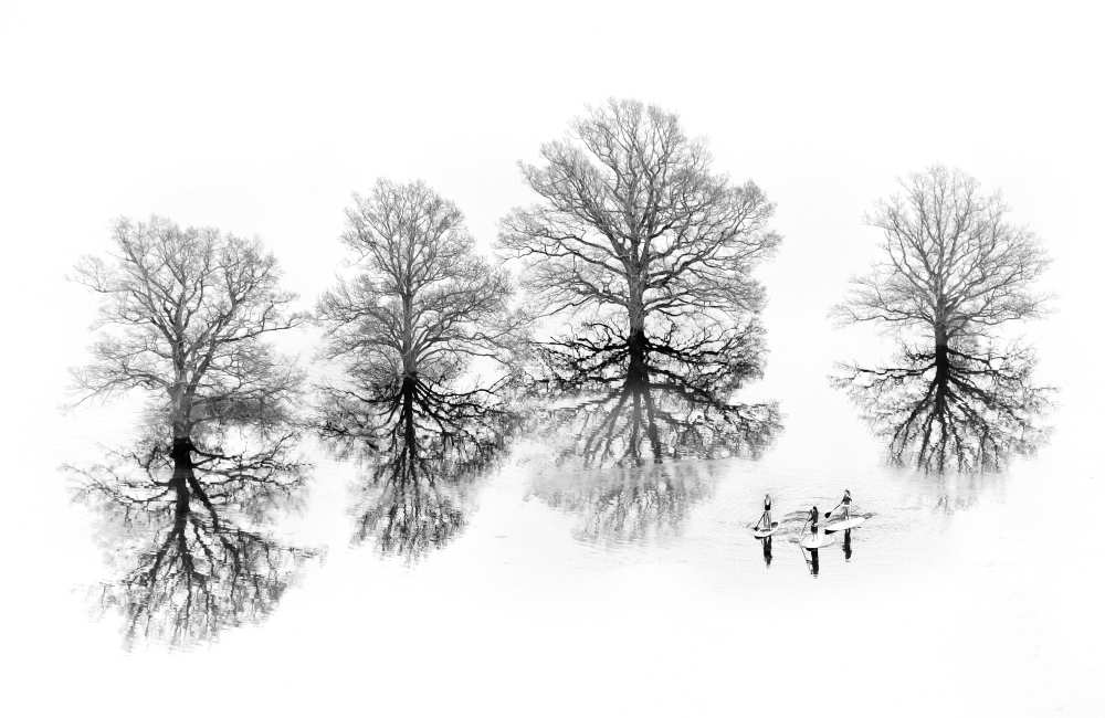 Lost von Ales Komovec