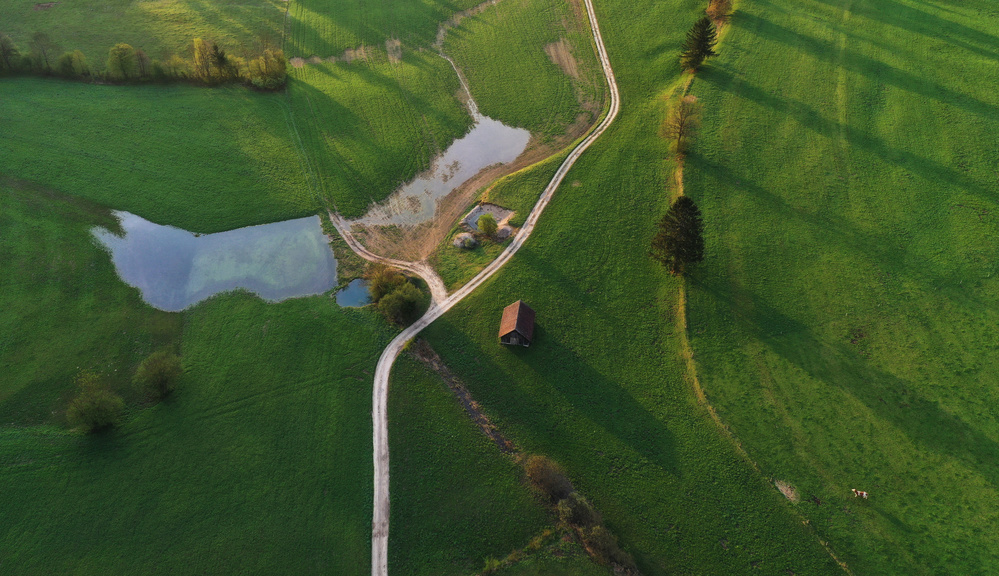 Driving through the countryside von Ales Krivec