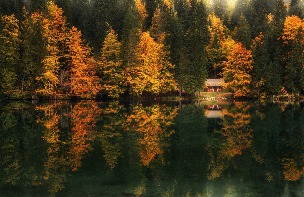 Autumn impressions von Ales Krivec