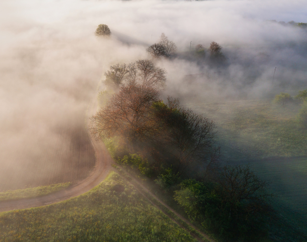 Morning mist von Ales Krivec