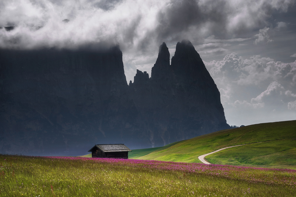 Alpe di Siusi von Ales Krivec