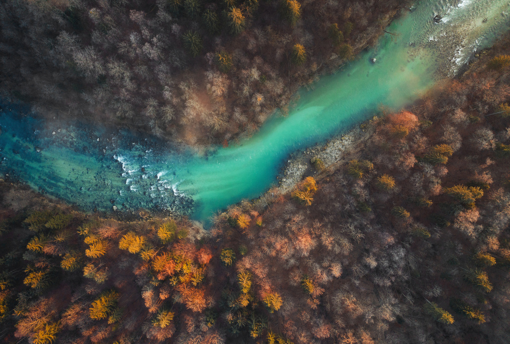 Emerald stream von Ales Krivec