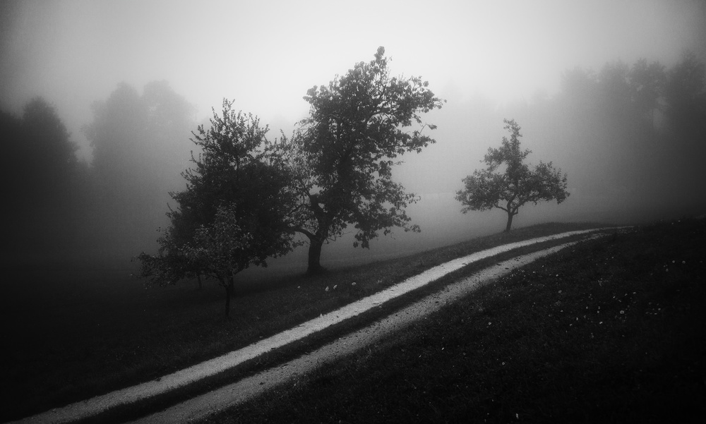 Moody morning von Ales Krivec