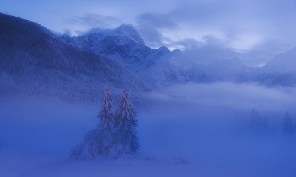 Winter evening von Ales Krivec