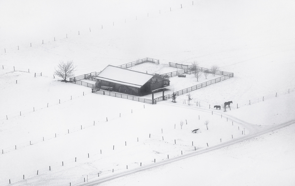 Winter solitude von Ales Krivec