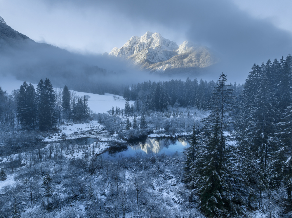 Winter mist von Ales Krivec