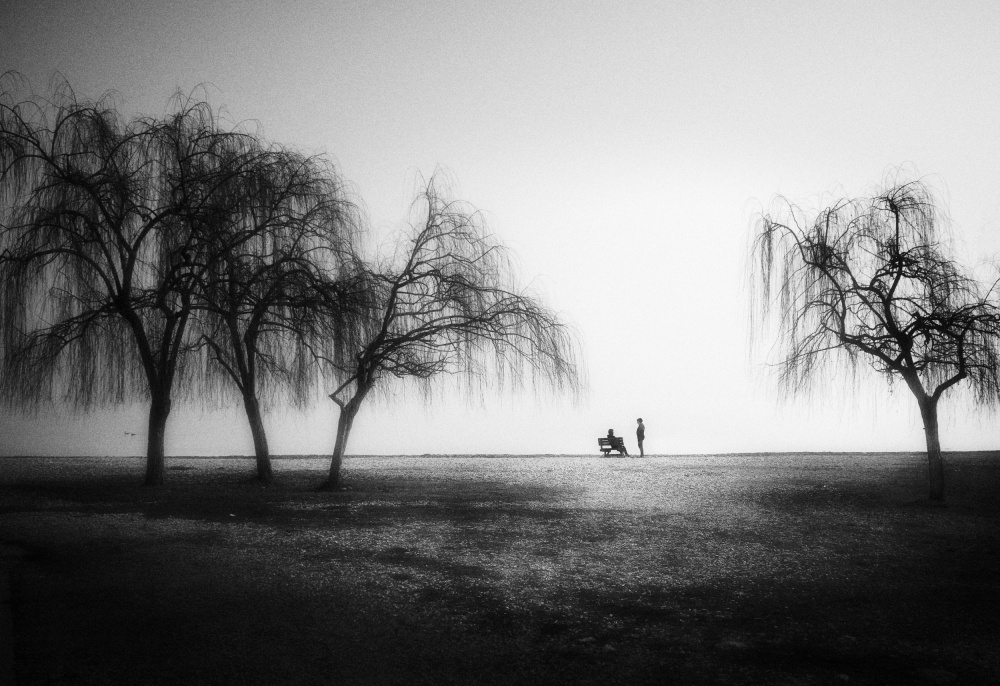 Whispers von Alessandro Accordini