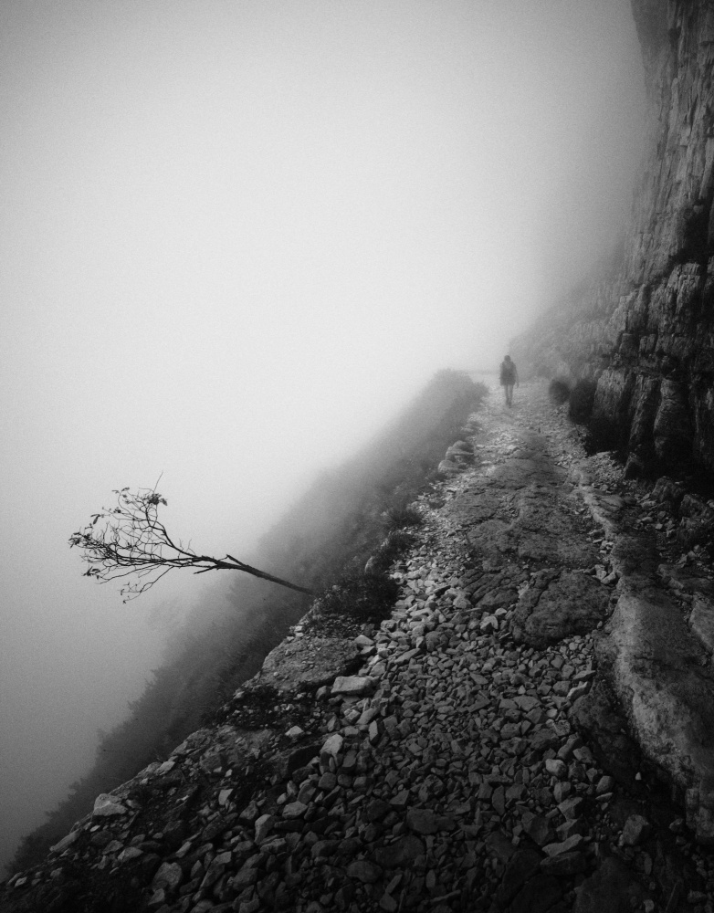 Human nature von Alessandro Accordini