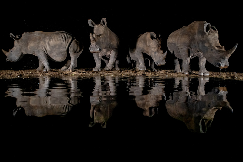 The Giants von Alessandro Catta