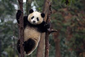 Die Spitze erreichen