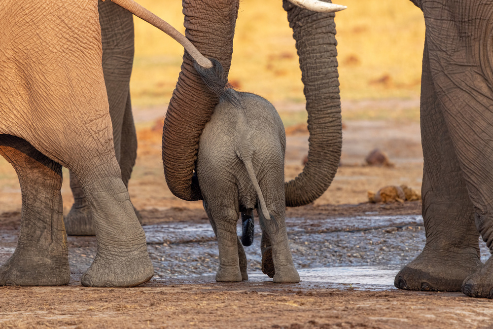 Between Security Belts von Alessandro Catta