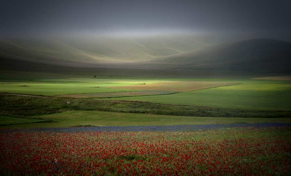 Alba incipient von alessandro ferretti