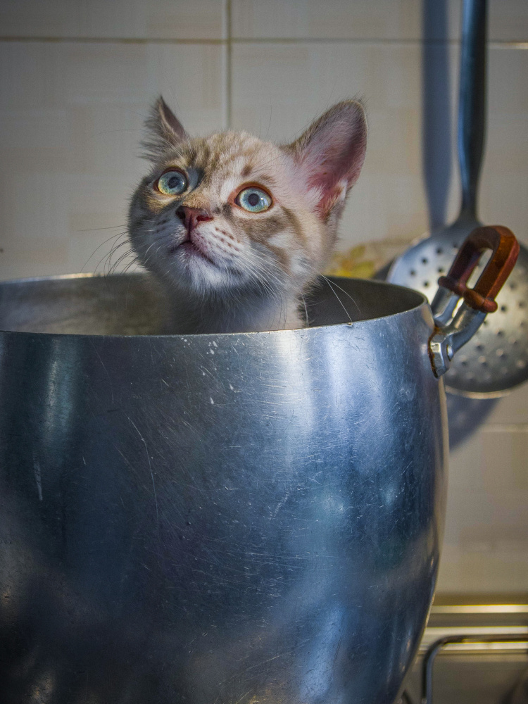 Youre not serious are you? von Alessandro Traverso