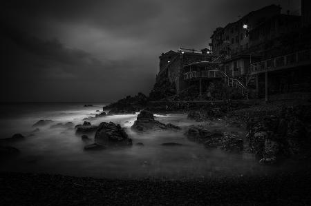 Nervi