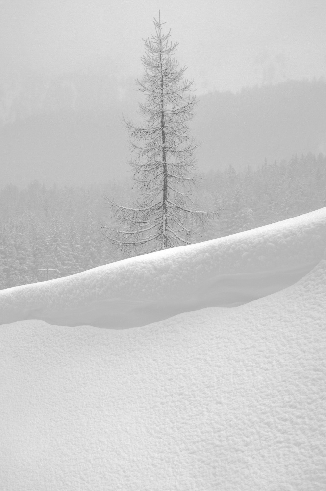 Soft Silence von Alessandro Traverso