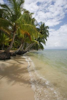Bocas del Toro von Alex Bramwell