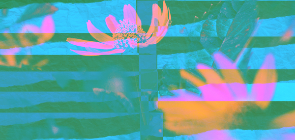 allways and everywhere von Alex Caminker