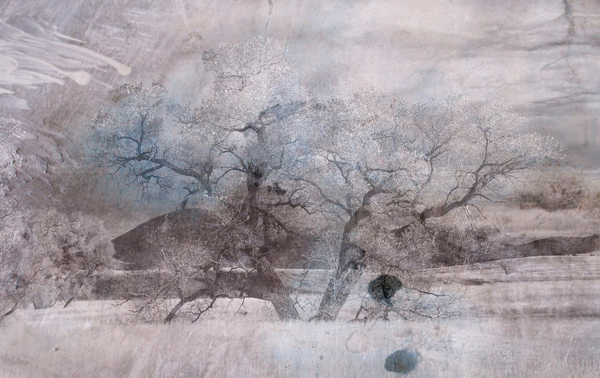 blue fog von Alex Caminker