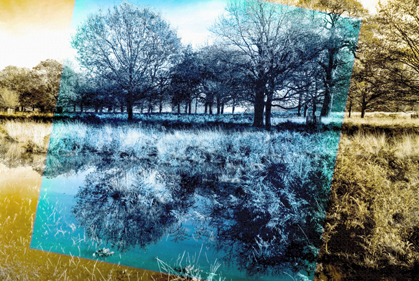 blue note von Alex Caminker