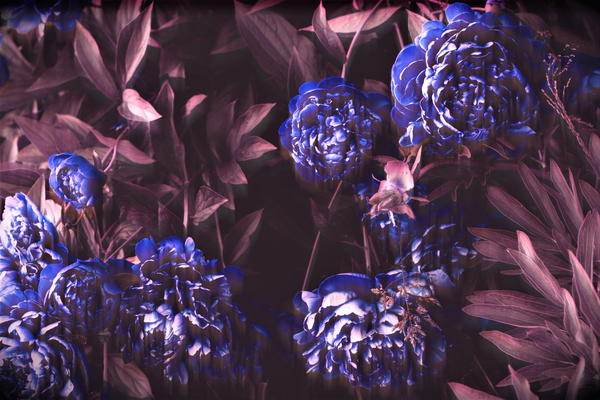 blue notes von Alex Caminker