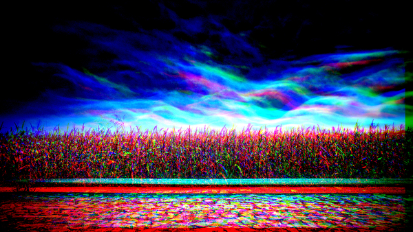 blue screen von Alex Caminker