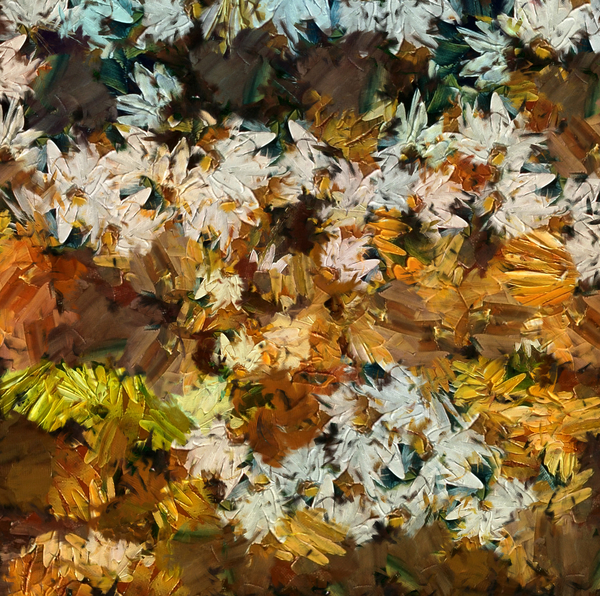 Camomile von Alex Caminker