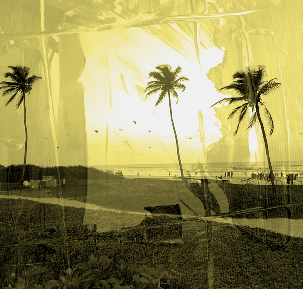 clarity fog von Alex Caminker