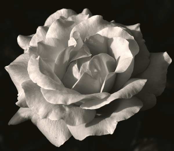 Cloud von Alex Caminker