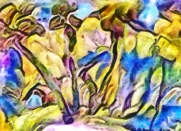 edge of the forest von Alex Caminker