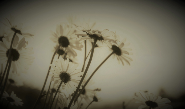 Episode von Alex Caminker