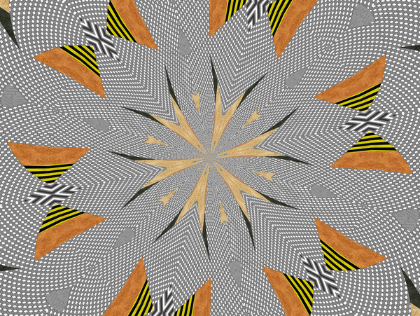 flowers 71 von Alex Caminker