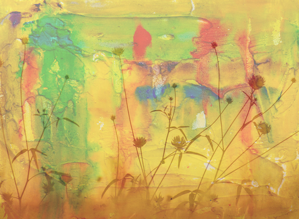 in the desert von Alex Caminker