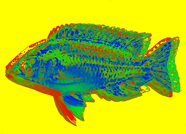 invert von Alex Caminker