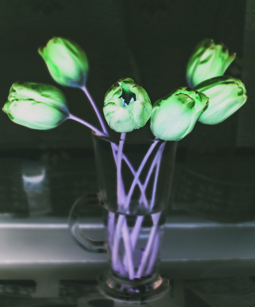 light refraction von Alex Caminker