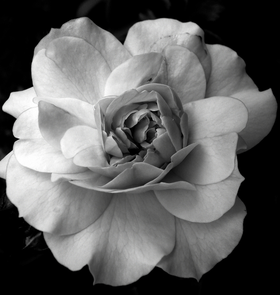 Object von Alex Caminker