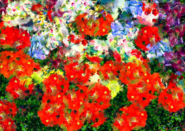 poppy von Alex Caminker