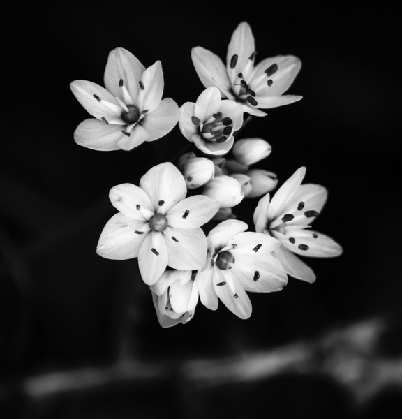 relationship von Alex Caminker