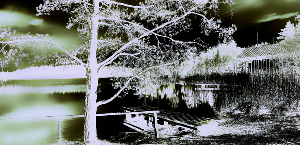 Secret Garden von Alex Caminker