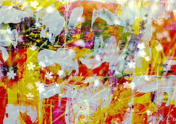 Sky von Alex Caminker