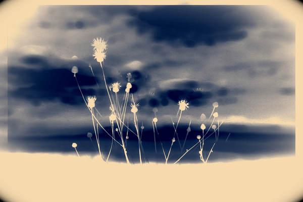 space von Alex Caminker