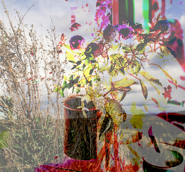 still life von Alex Caminker