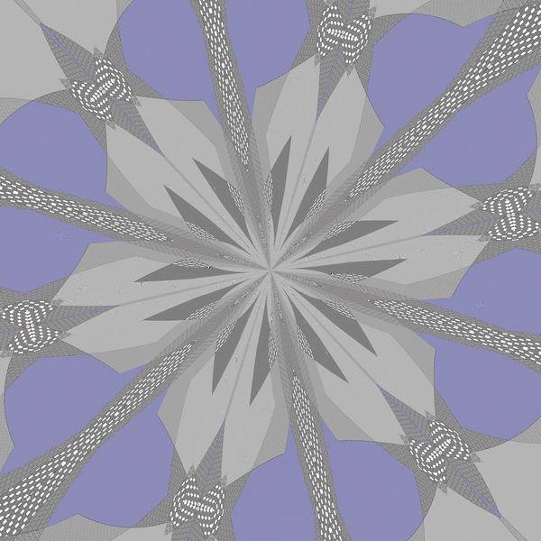 symmetry #35 von Alex Caminker