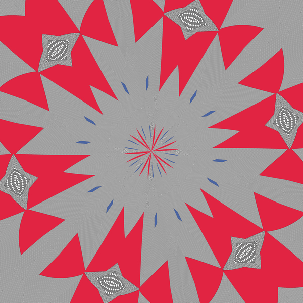 symmetry #43 von Alex Caminker