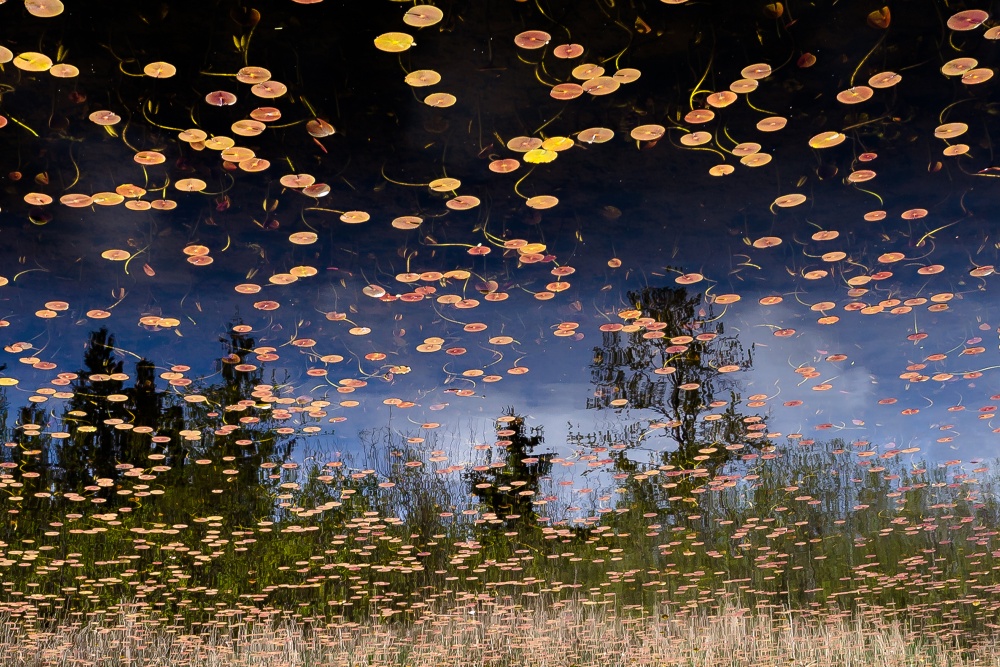 Phantom Lake von Alex Levine