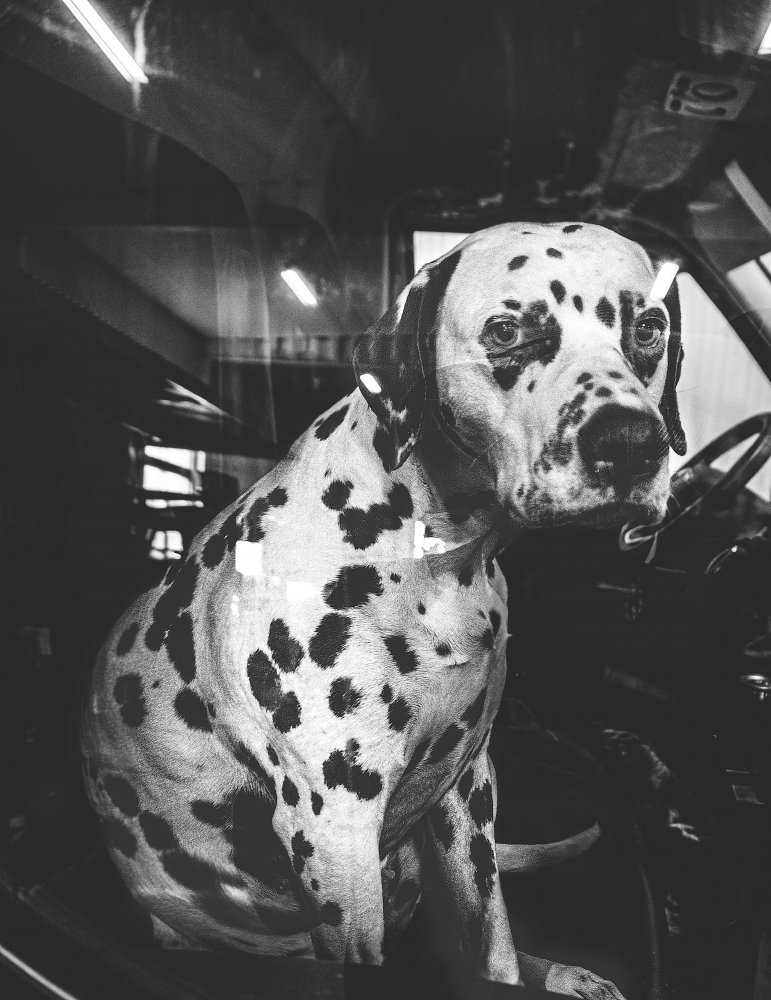 The look von Alex Ogazzi