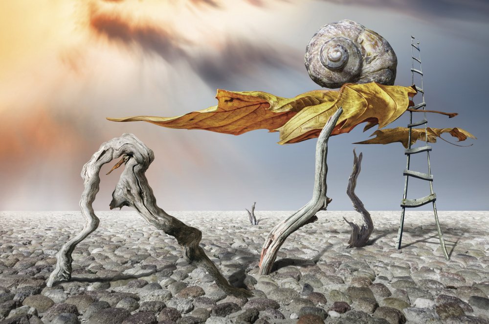 Flying von Alexander Alexandrov