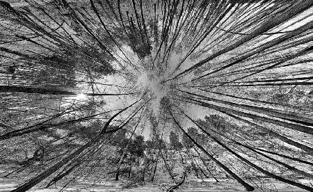 In the heart of the ravine